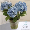 Hydrangea Potted 3 Stems 21 in. Light Blue